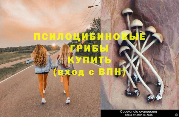 скорость Арсеньев