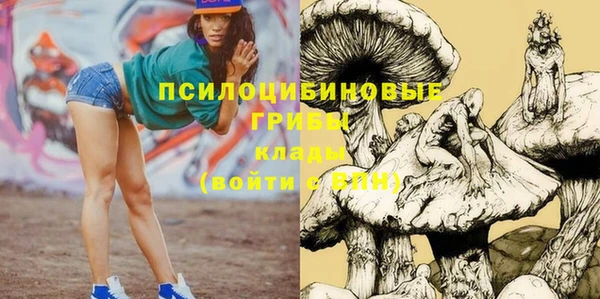скорость Арсеньев