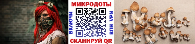 Купить  Анжеро-Судженск  Галлюциногенные грибы прущие грибы 